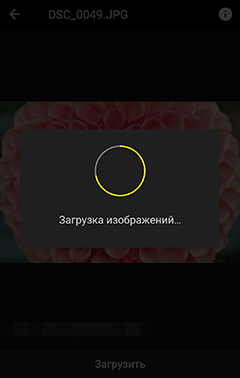 как пользоваться приложением snapbridge. and transfer manual full frame download. как пользоваться приложением snapbridge фото. как пользоваться приложением snapbridge-and transfer manual full frame download. картинка как пользоваться приложением snapbridge. картинка and transfer manual full frame download.
