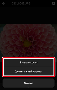 как пользоваться приложением snapbridge. and transfer manual full frame select size show. как пользоваться приложением snapbridge фото. как пользоваться приложением snapbridge-and transfer manual full frame select size show. картинка как пользоваться приложением snapbridge. картинка and transfer manual full frame select size show.