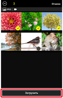 как пользоваться приложением snapbridge. and transfer manual thumbnail select 3img show. как пользоваться приложением snapbridge фото. как пользоваться приложением snapbridge-and transfer manual thumbnail select 3img show. картинка как пользоваться приложением snapbridge. картинка and transfer manual thumbnail select 3img show.