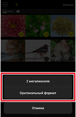 как пользоваться приложением snapbridge. and transfer manual thumbnail select size show. как пользоваться приложением snapbridge фото. как пользоваться приложением snapbridge-and transfer manual thumbnail select size show. картинка как пользоваться приложением snapbridge. картинка and transfer manual thumbnail select size show.