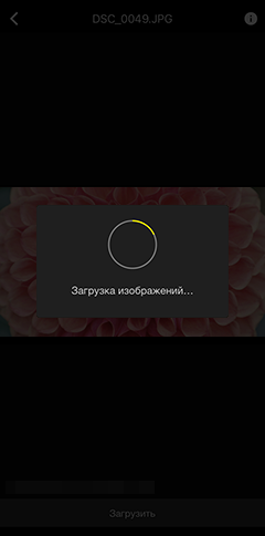 как пользоваться приложением snapbridge. ios transfer manual full frame download. как пользоваться приложением snapbridge фото. как пользоваться приложением snapbridge-ios transfer manual full frame download. картинка как пользоваться приложением snapbridge. картинка ios transfer manual full frame download.