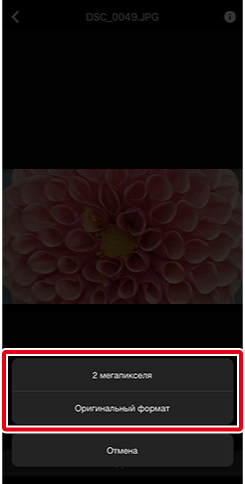 как пользоваться приложением snapbridge. ios transfer manual full frame select size show. как пользоваться приложением snapbridge фото. как пользоваться приложением snapbridge-ios transfer manual full frame select size show. картинка как пользоваться приложением snapbridge. картинка ios transfer manual full frame select size show.