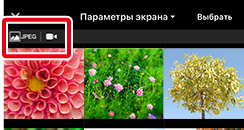 как пользоваться приложением snapbridge. ios transfer manual thumbnail icn fil show. как пользоваться приложением snapbridge фото. как пользоваться приложением snapbridge-ios transfer manual thumbnail icn fil show. картинка как пользоваться приложением snapbridge. картинка ios transfer manual thumbnail icn fil show.