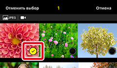 как пользоваться приложением snapbridge. ios transfer manual thumbnail select 1img show. как пользоваться приложением snapbridge фото. как пользоваться приложением snapbridge-ios transfer manual thumbnail select 1img show. картинка как пользоваться приложением snapbridge. картинка ios transfer manual thumbnail select 1img show.