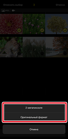 как пользоваться приложением snapbridge. ios transfer manual thumbnail select size show. как пользоваться приложением snapbridge фото. как пользоваться приложением snapbridge-ios transfer manual thumbnail select size show. картинка как пользоваться приложением snapbridge. картинка ios transfer manual thumbnail select size show.